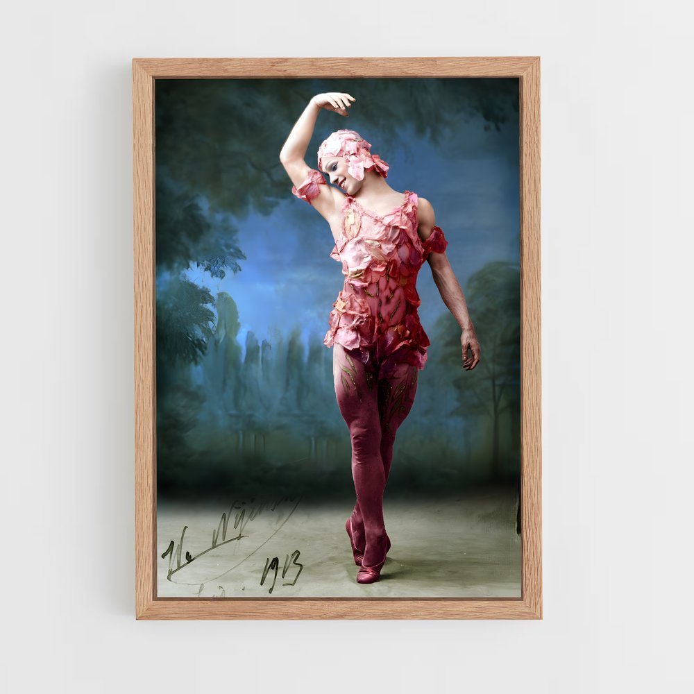 Poster Éclat de Danse (vue 4)